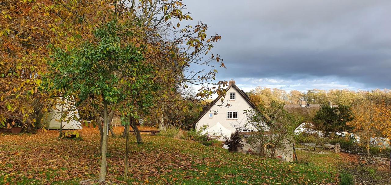 Apartment Kliemkiker, Naehe Binz In Traumhafter Alleinlage Zirkow エクステリア 写真