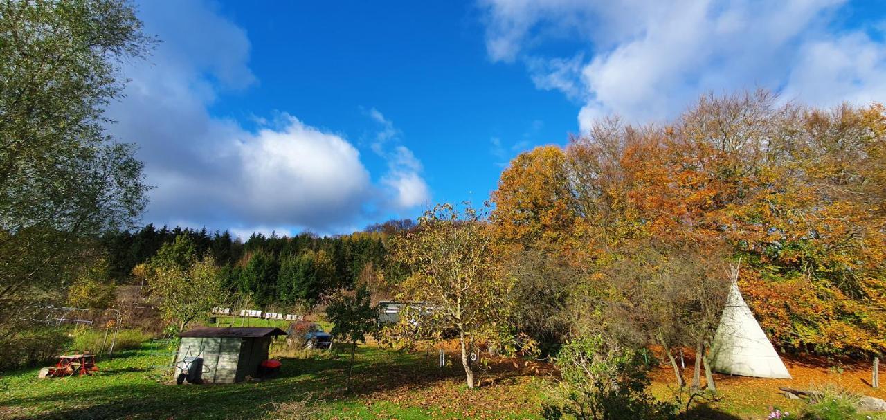Apartment Kliemkiker, Naehe Binz In Traumhafter Alleinlage Zirkow エクステリア 写真